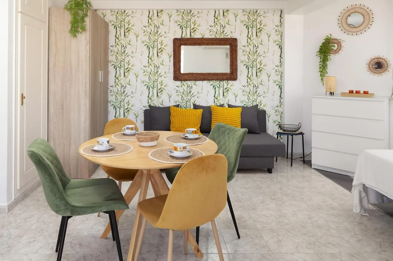 Apartment Torre Del Mar Studio