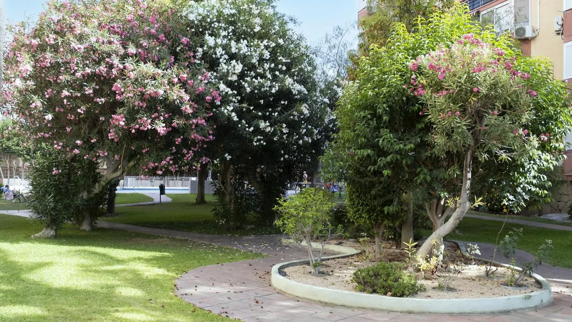 Torre Del Mar Studio location